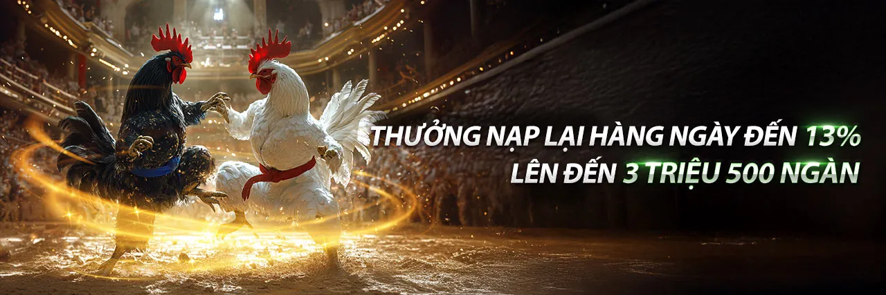 Đá gà trực tuyến trên b66 ứng dụng Android
