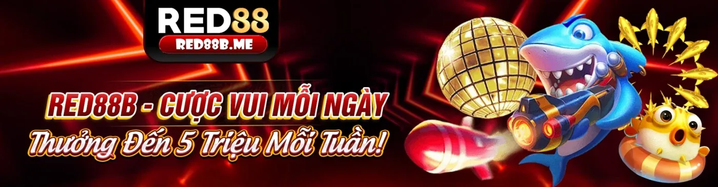 B66 App Android – Nền Tảng Giải Trí Cá Cược Hàng Đầu